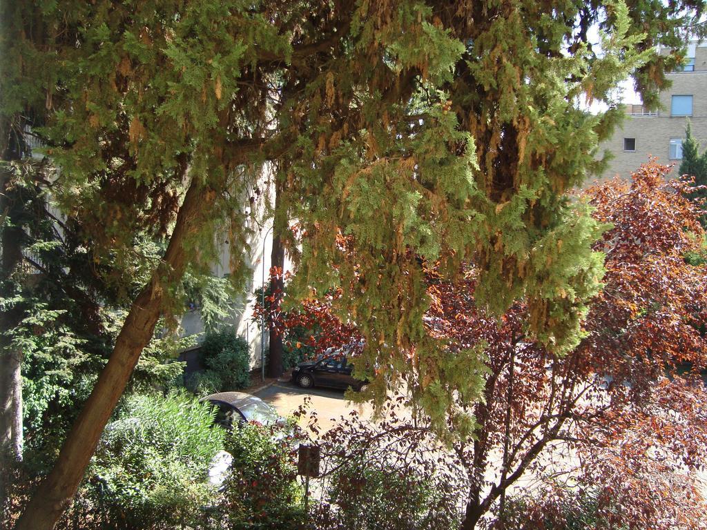 Villa Sciarra Rome Room photo